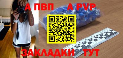ешки Кингисепп