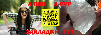 ешки Кингисепп
