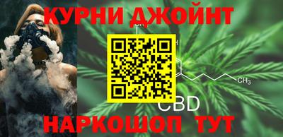 ешки Кингисепп