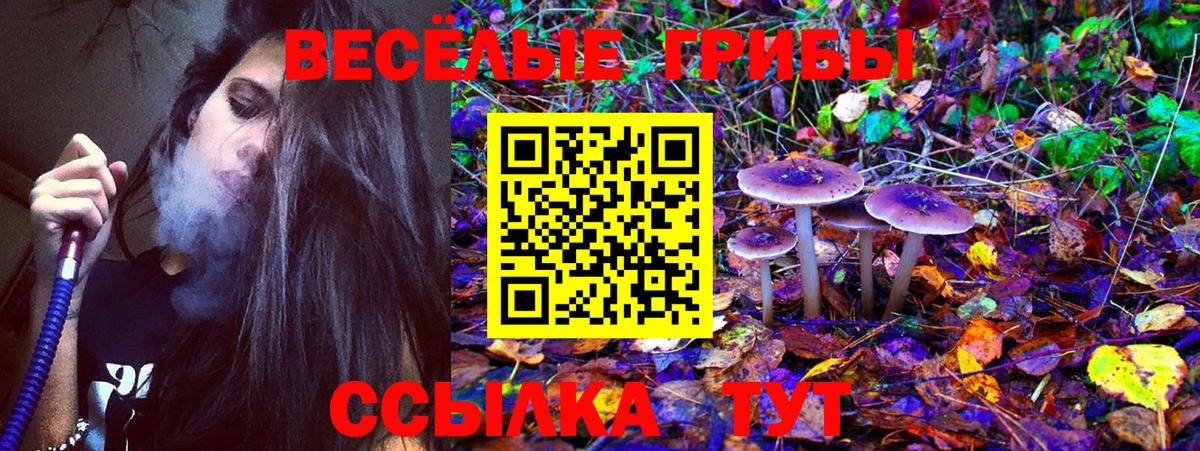Каспийск  Псилоцибиновые грибы GOLDEN TEACHER  Галлюциногенные грибы ЛСД  Вход с VPN 
