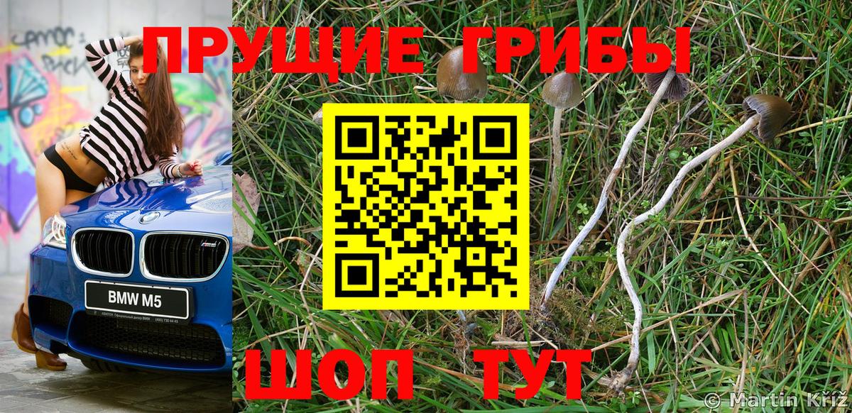 Псилоцибиновые грибы Magic Shrooms Каспийск