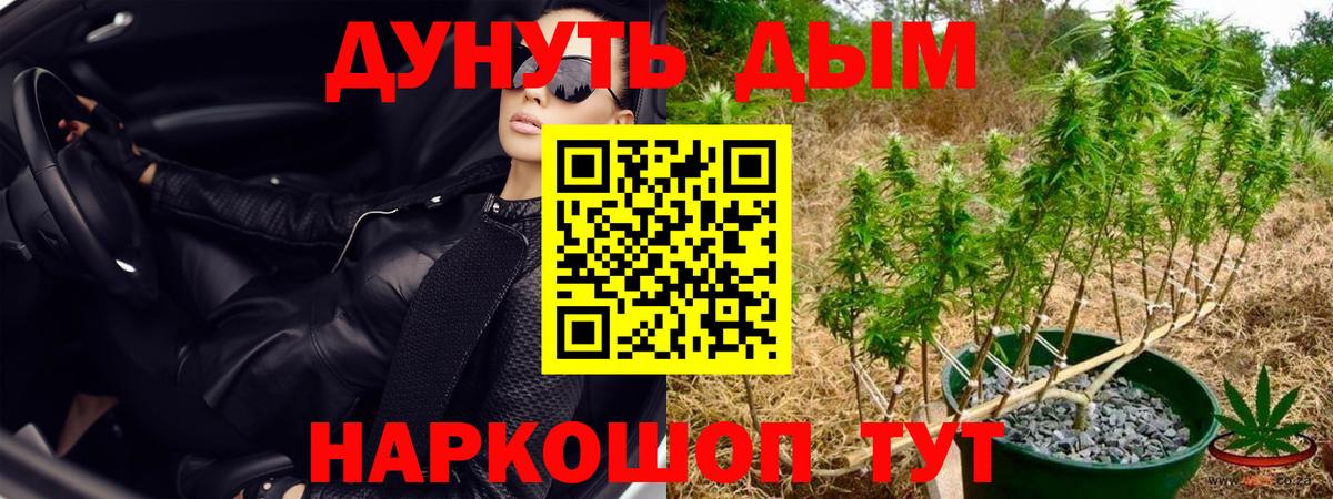 Каспийск  МАРИХУАНА SATIVA & INDICA  Вход с VPN  Канабис планчик 